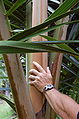 Thumbnail for version as of 17:46, 14 October 2008