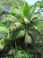 Thumbnail for version as of 04:20, 27 May 2012