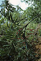 Thumbnail for version as of 11:28, 2 October 2012