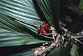 Thumbnail for version as of 05:00, 3 October 2012
