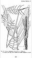 Thumbnail for version as of 00:27, 27 February 2015