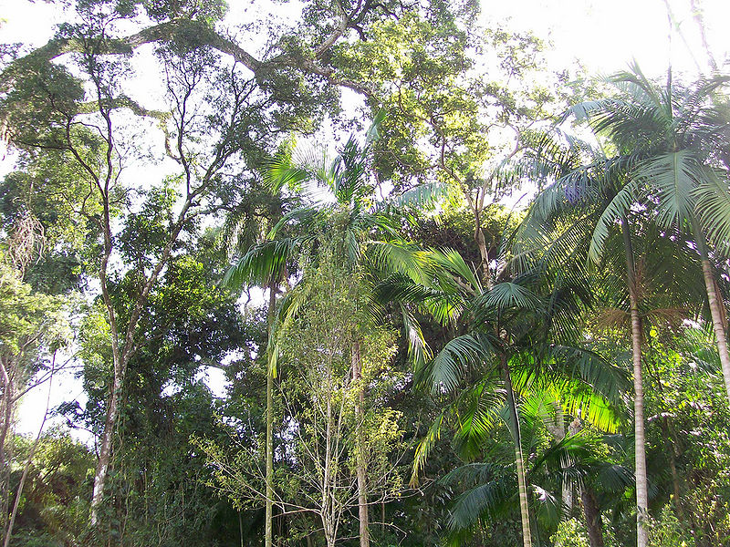 File:3683837199 b79379ef05 b.jpg