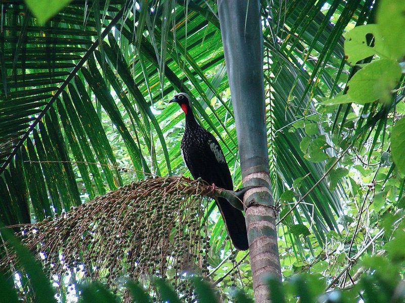 File:5755188070 a0ee32f6e0 b.jpg