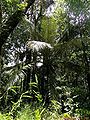 Thumbnail for version as of 01:42, 14 February 2016