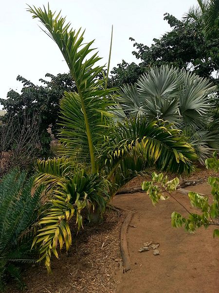 File:Post-126-0-67686500-1417540171.jpg