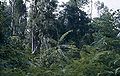Thumbnail for version as of 01:03, 1 March 2015