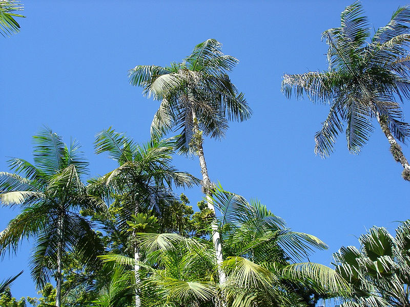 File:7317839284 de19d5caef b.jpg