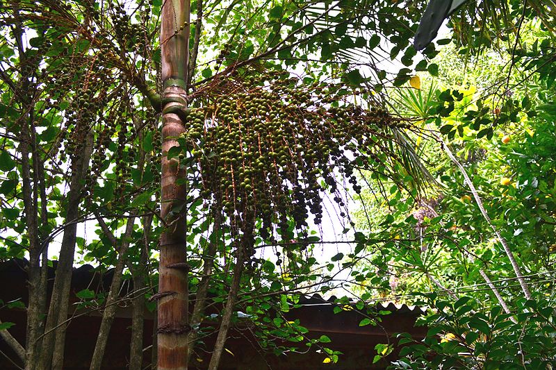 File:8001496767 e42d0bbac9 o.jpg