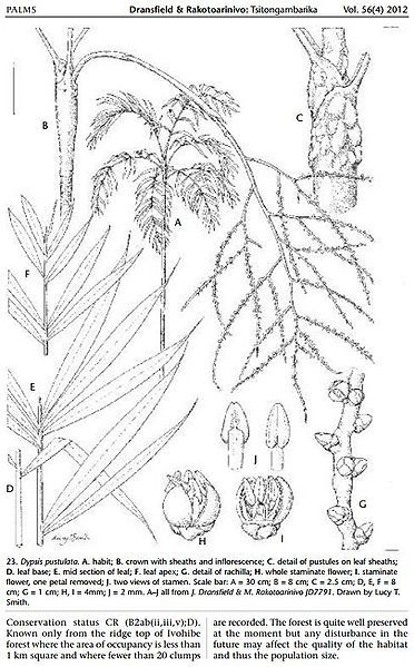 File:Dp9089771243.JPG