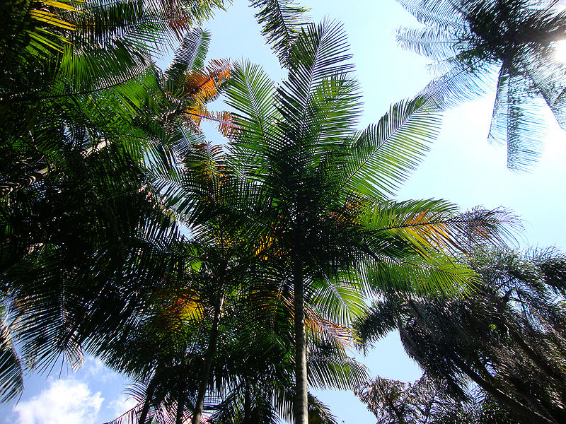 File:7069215551 e659a43111 k.jpg