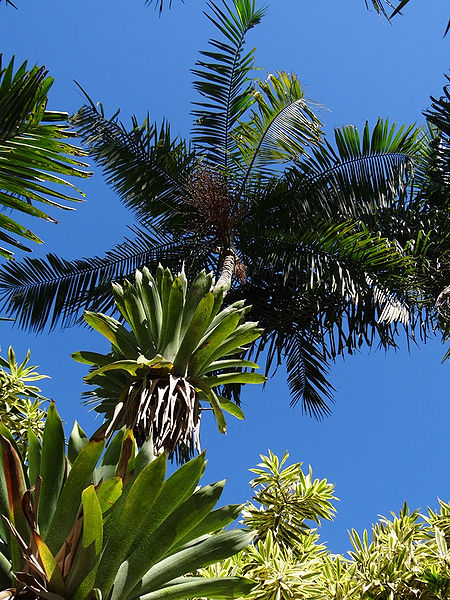 File:7317760292 f6b7d1a1f5 b.jpg