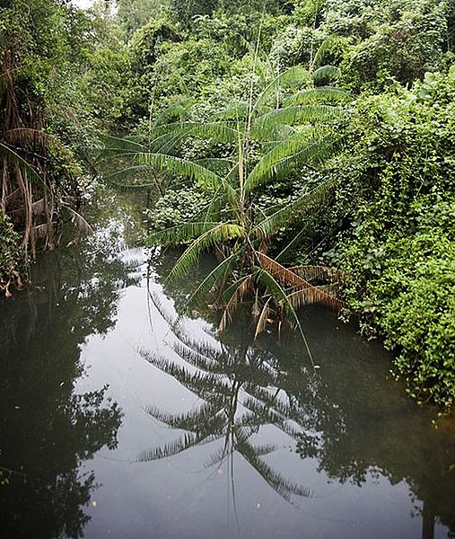 File:7326629360 ac3cf6c292 o.jpg