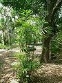 Thumbnail for version as of 00:21, 22 March 2014