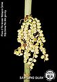 Thumbnail for version as of 22:20, 12 May 2016