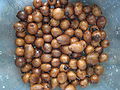 Thumbnail for version as of 09:16, 2 July 2009